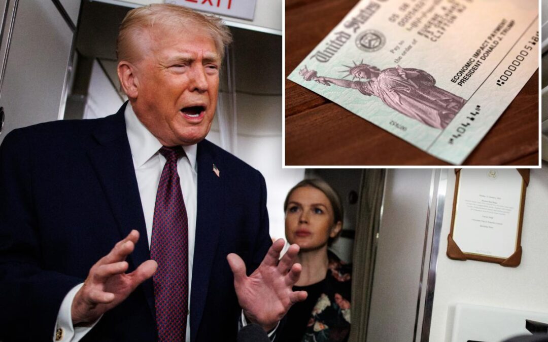 Trump appears to blank on $2K tariff checks he promised Americans: ‘When did I do that?’