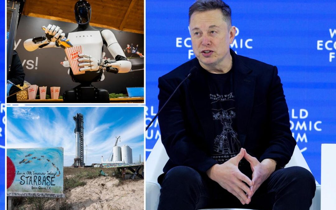 Elon Musk’s Greenland jokes fall flat at Davos in awkward moment — as he unveils plan to sell robots
