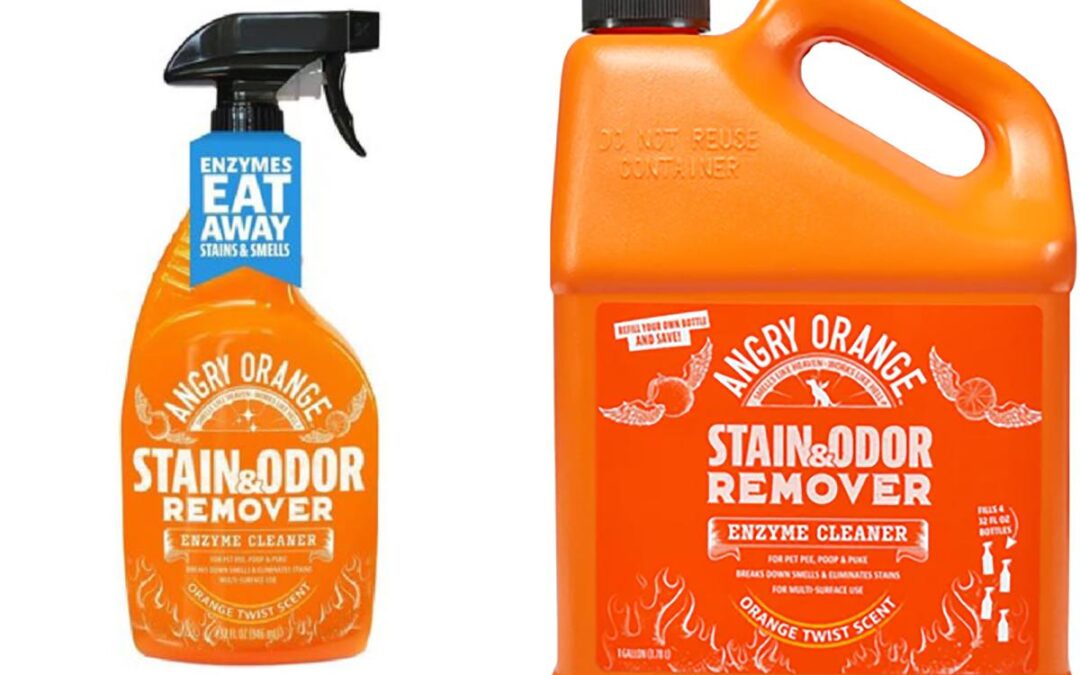 1.5 million bottles of popular cleaning product recalled over potential bacterial contamination
