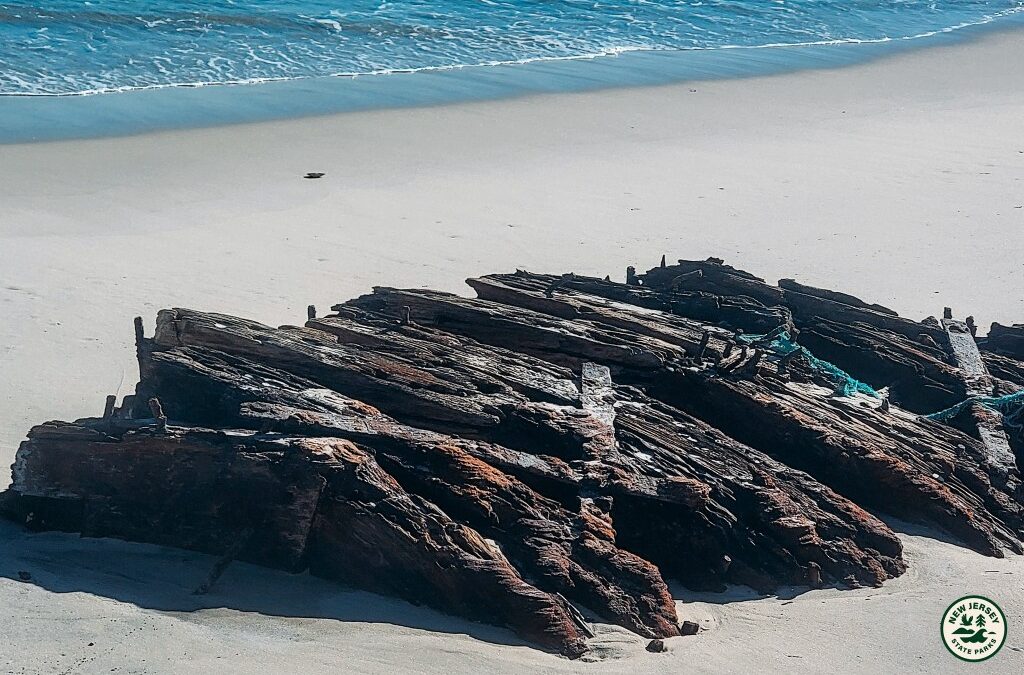 Remnants of 19th-century shipwreck found on New Jersey beach
