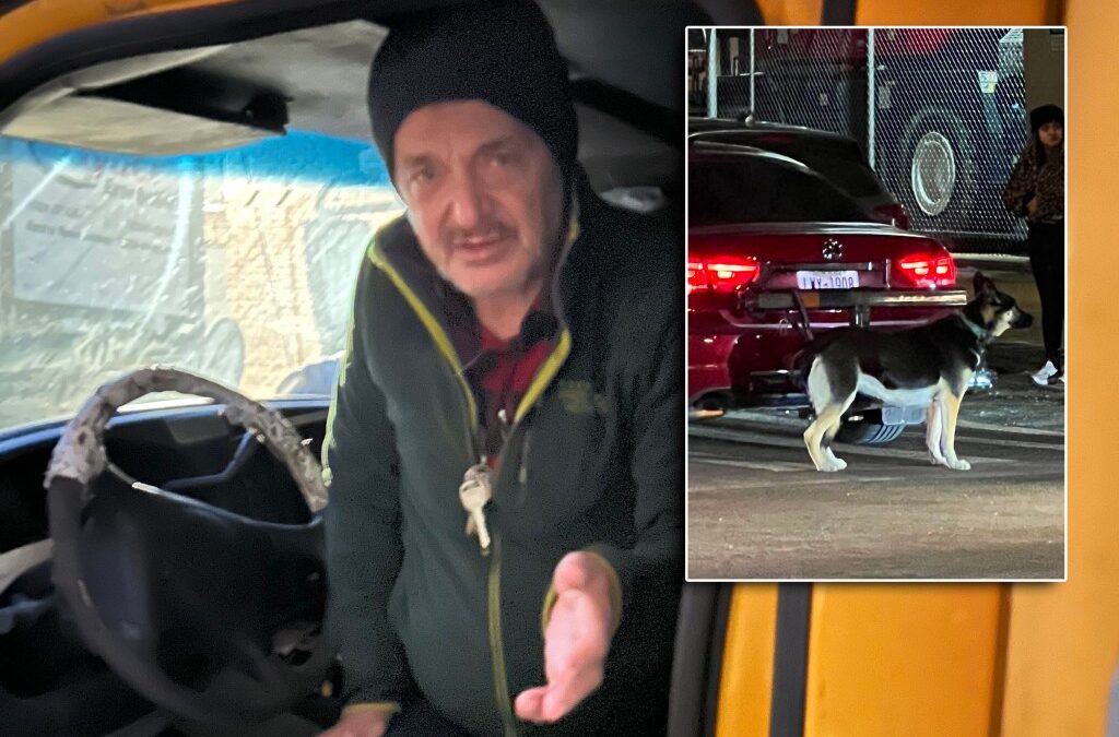 Man busted for driving with dogs leashed to car defends himself, wants dogs back