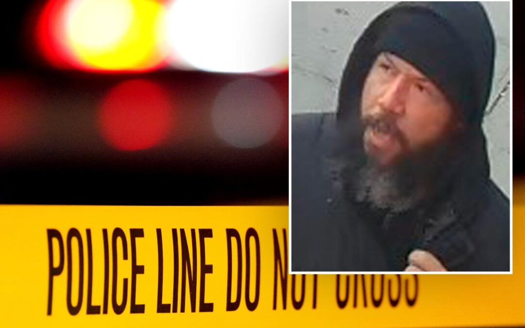 NYC driver shoots man in road rage tantrum then runs off on foot: cops