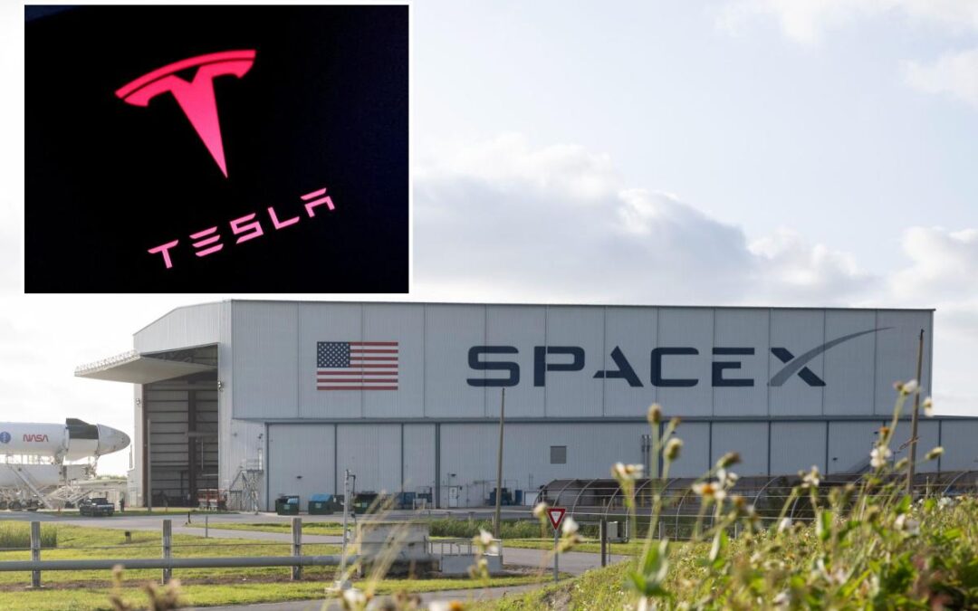 Elon Musk’s SpaceX mulling merger with Tesla or xAI: report