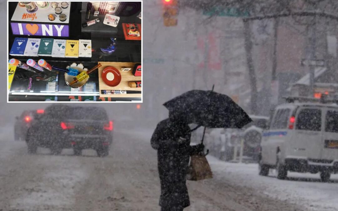 Bread, eggs, milk— and weed! Potheads swarm cannabis shops to prep for blizzard