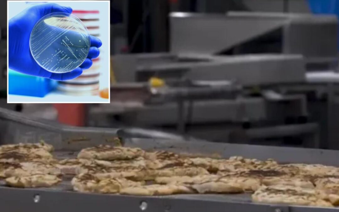 Listeria scare triggers massive recall of nearly 7 tons of ready-to-eat chicken in several states