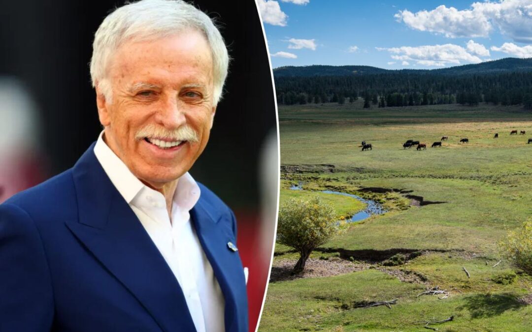 A 900K-acre land sale just made LA Rams owner Stan Kroenke the nation’s largest private landowner