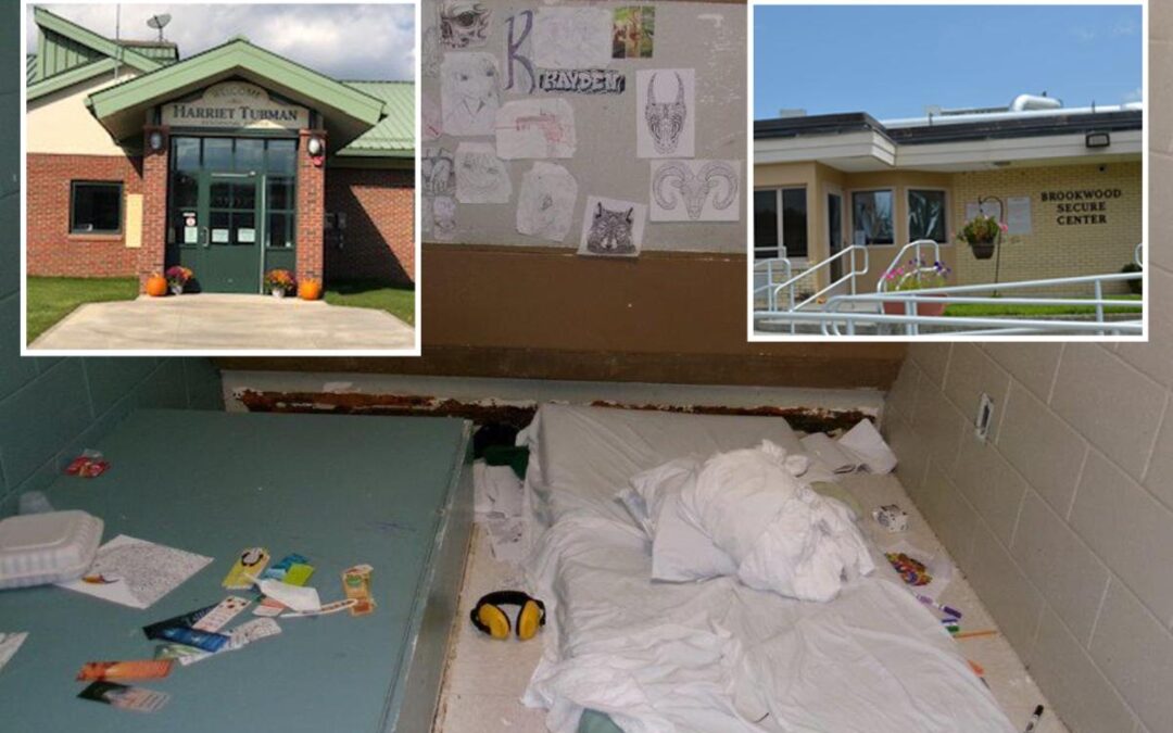 NY kids kept in state solitary confinement for months without toilets, new suit claims: ‘Barbaric’