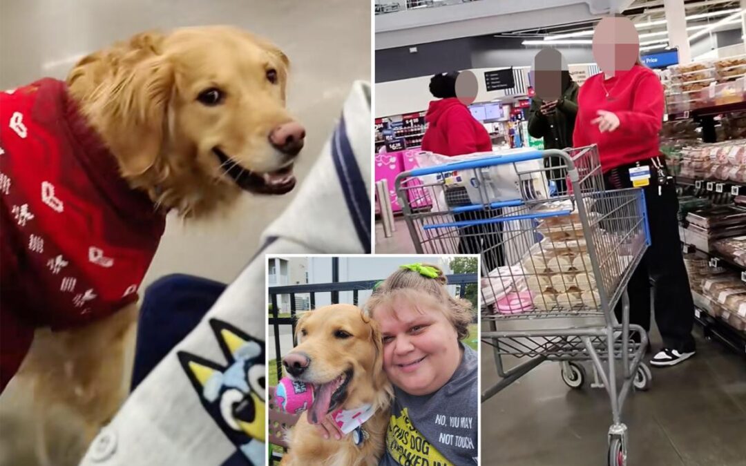 Walmart shopper allegedly followed by store workers over off-leash service dog
