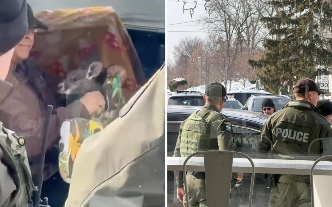 Bizarre encounter between feds, exotic-animal owner outside LI coffee shop