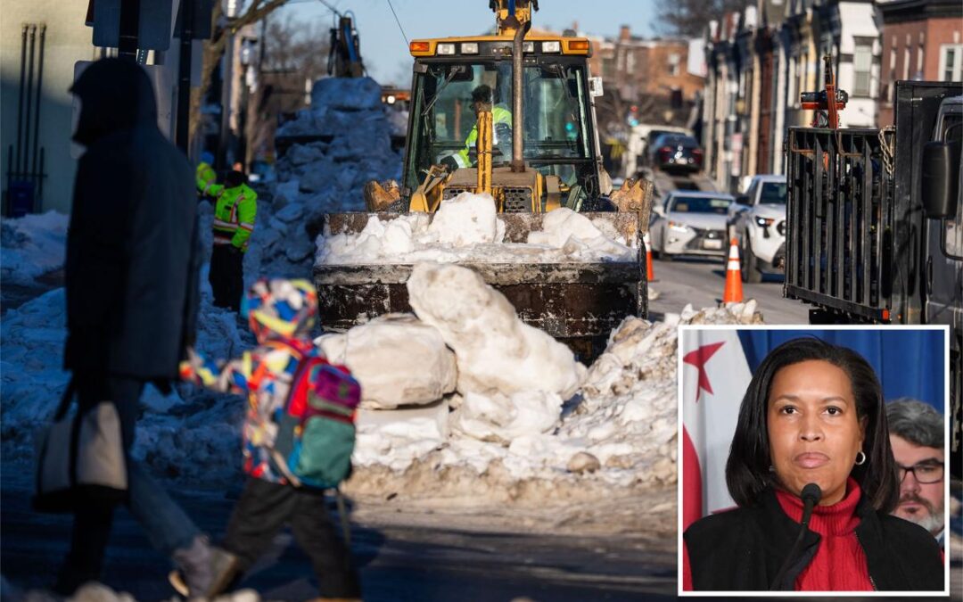 DC residents furious with nearly 20 schools still closed, streets a snowy mess: ‘Dems worried about the wrong ice’