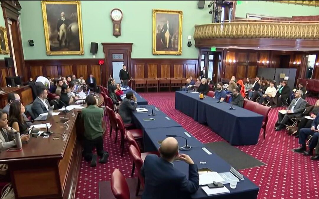 City Council reviews Mamdani administration's cleanup efforts following Nor'easter