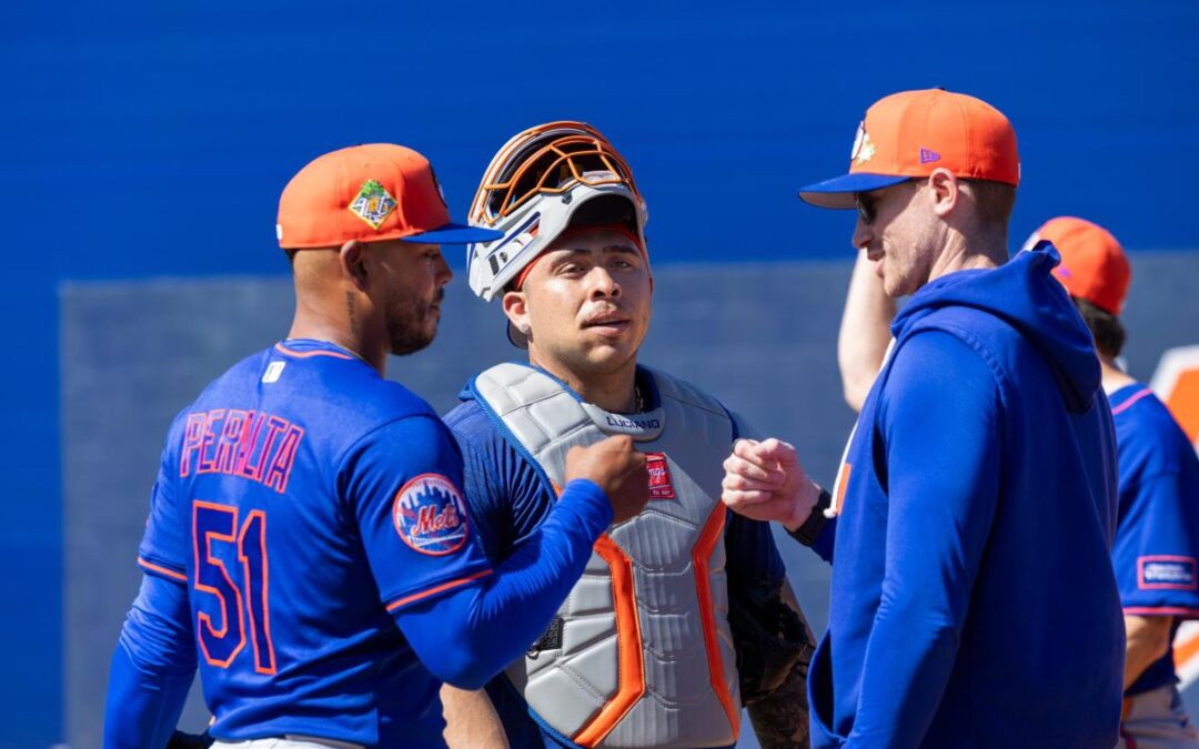 Francisco Alvarez takes next step on his Mets comeback trail with spring debut set