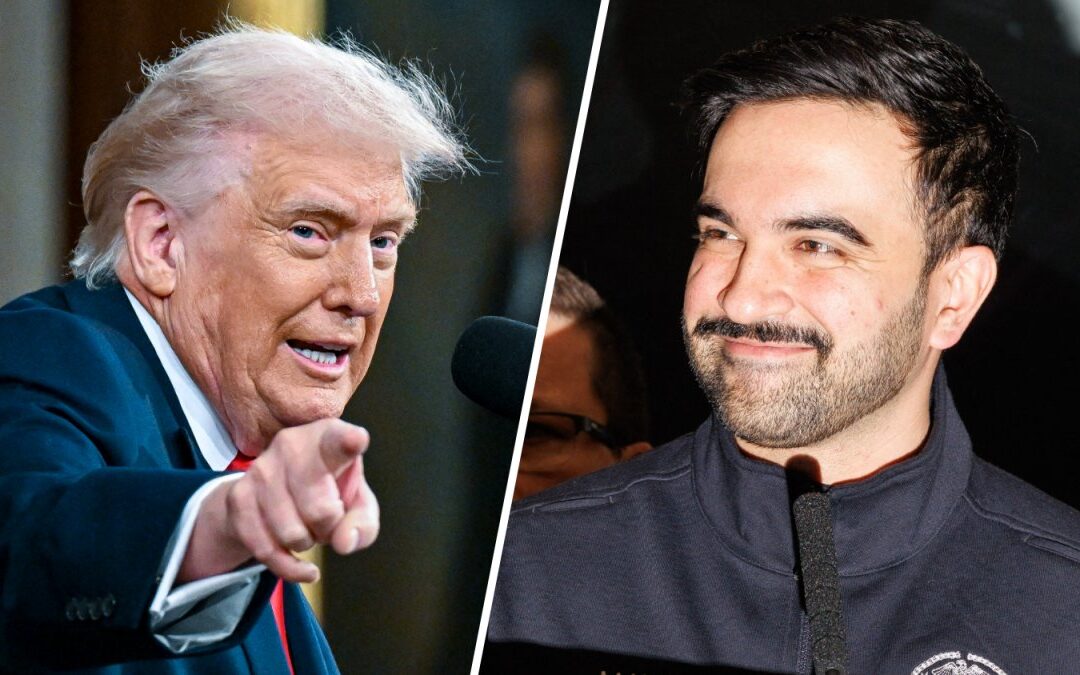 Trump calls out Mamdani in State of the Union over emergency snow shovelers' IDs