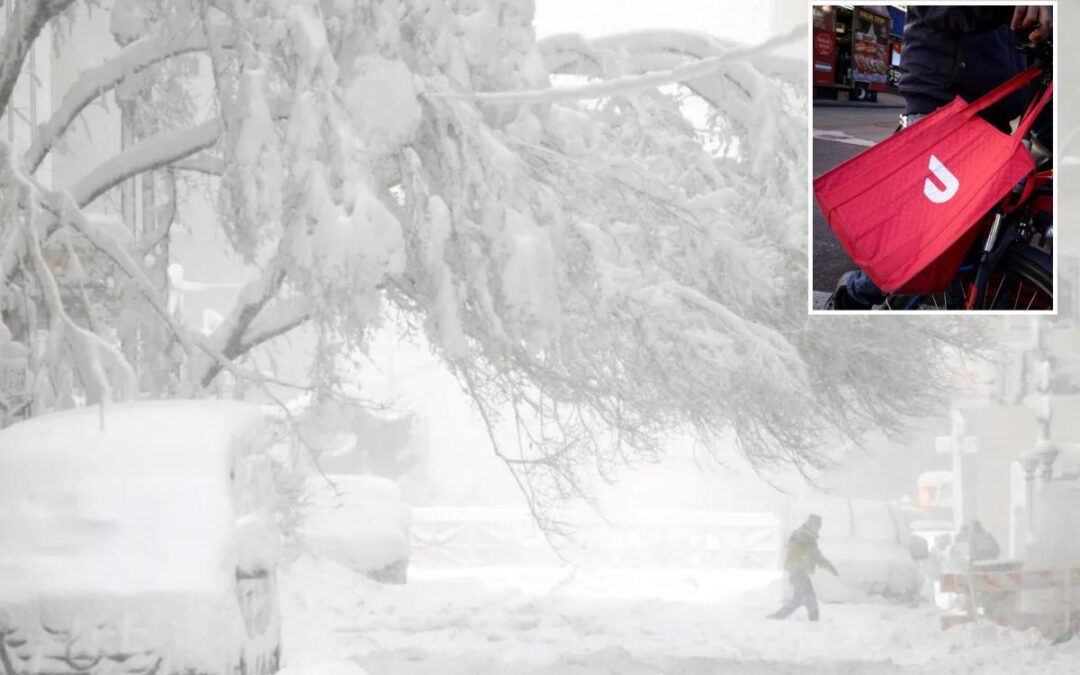 DoorDash shut-down during NYC blizzard prompts this reaction from tough NYers