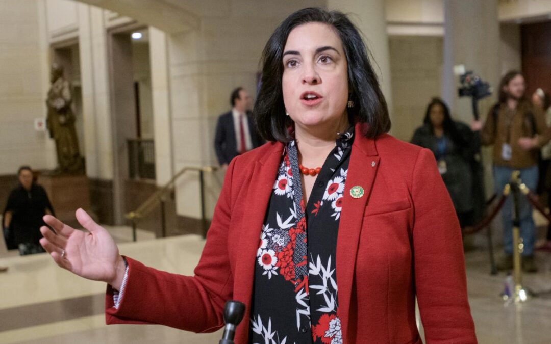 Democrats’ theft of  Staten Island’s House seat is a fresh  blow to NY’s economy