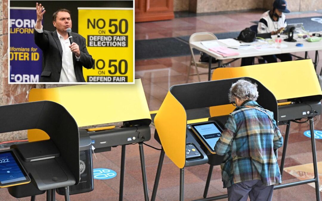 Let the voters decide voter ID