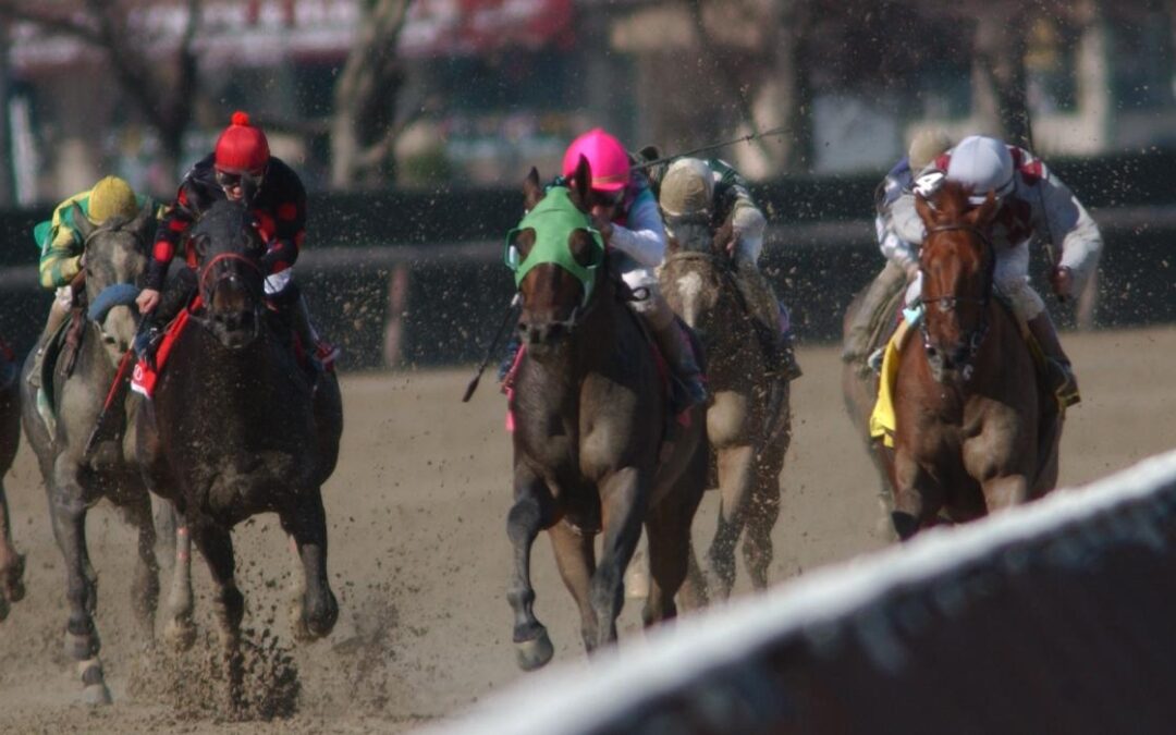 Vic C’s Aqueduct picks and entries for Wednesday, Feb. 4 