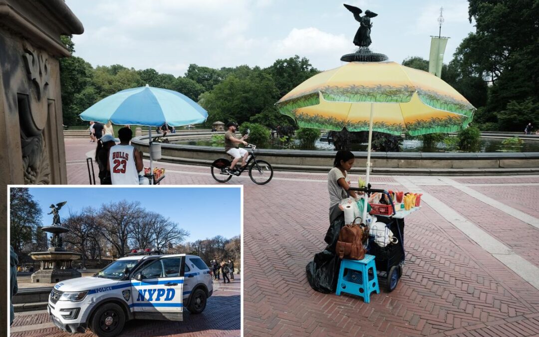 Female food vendor slashed in NYC park during a fight over turf