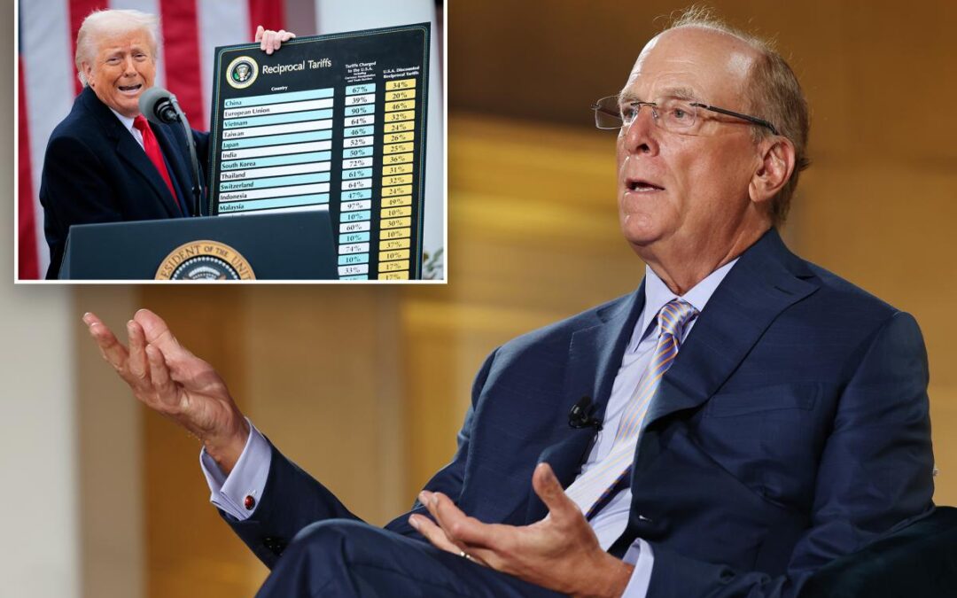 Blackrock CEO Larry Fink warns of ‘costly’ global push toward self-reliance, downsides to AI boom