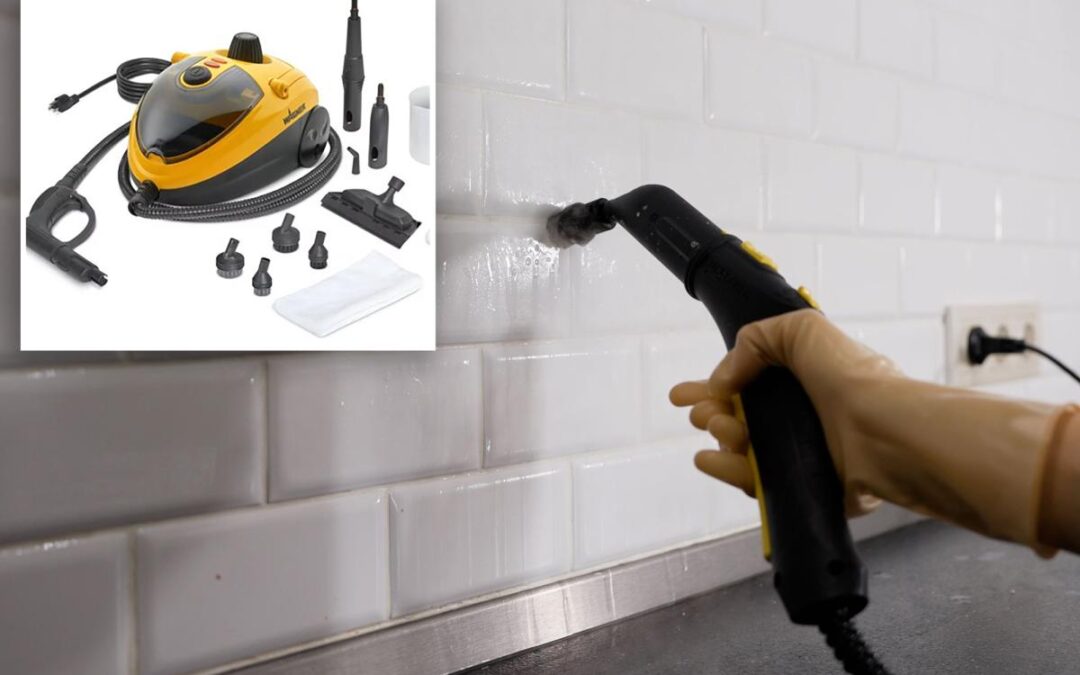 Household power steamers recalled after dozens of burn injuries reported