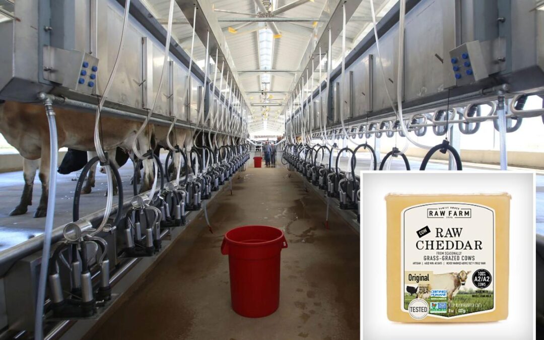 $16 Erewhon cheese tied to E. Coli outbreak as California raw milk farmer fights recall