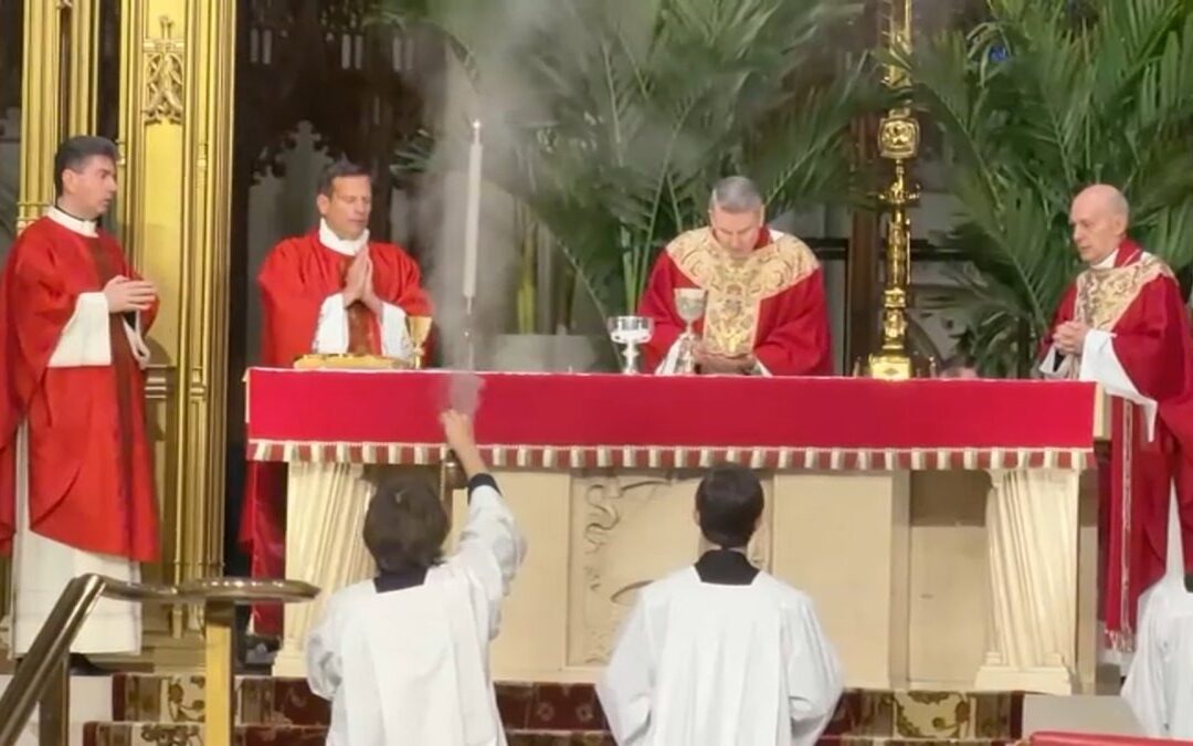 First Palm Sunday under Archbishop Hicks