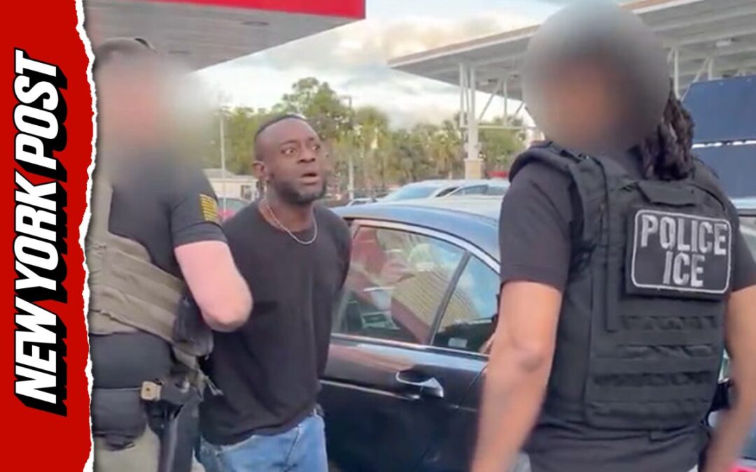 ICE busts illegal Haitian drug dealer in Florida