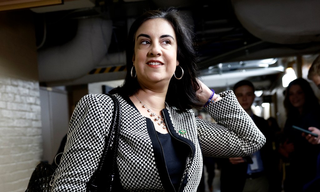 Supreme Court saves Rep. Nicole Malliotakis’ Staten Island district