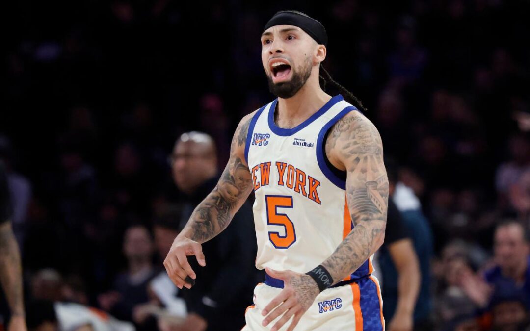 Jose Alvarado’s energy ‘skill’ giving Knicks something they didn’t have before