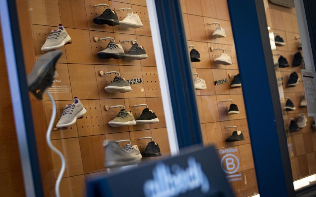 Trendy tech bro sneaker brand Allbirds — once worth $4B — sells assets for chump change