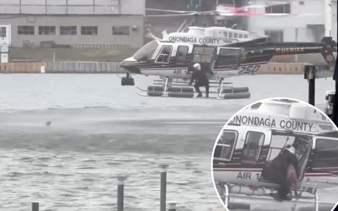 Dog ‘continuously shivers’ after troubling rescue from Upstate NY river