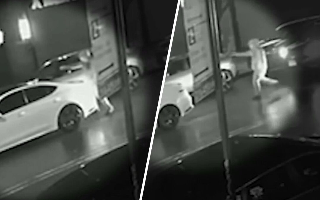 Off-duty NYPD cop who allegedly fired on suspected thieves suspended without pay