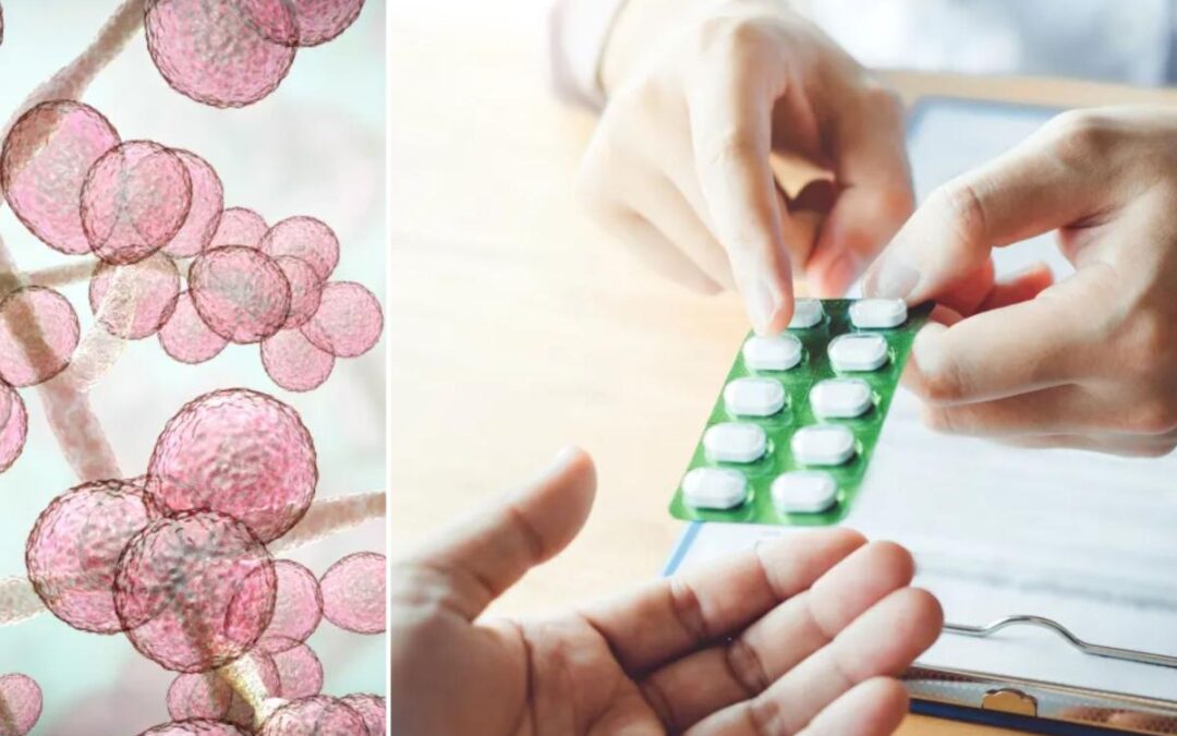 Inside New York’s ‘superbug’ crisis — and the bad habit that’s fueling antibiotic resistance