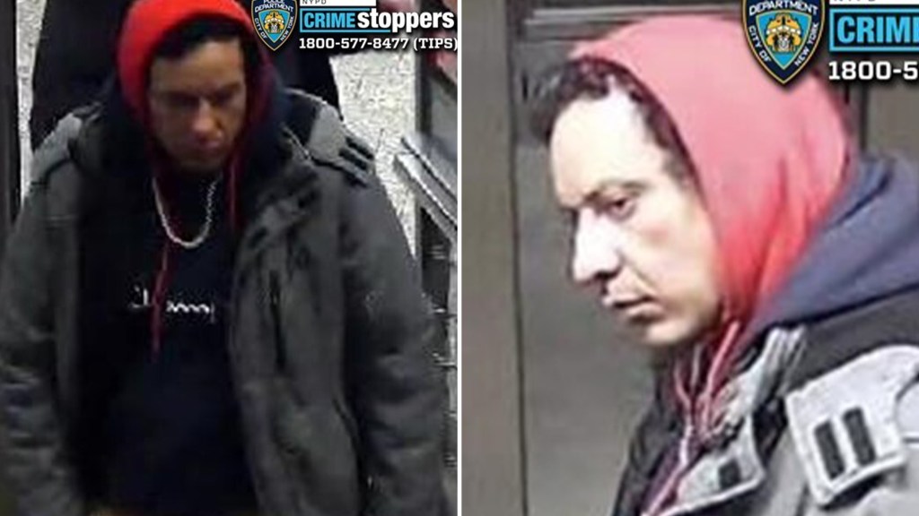 Two men, one 83, shoved unprovoked by stranger onto Manhattan subway tracks