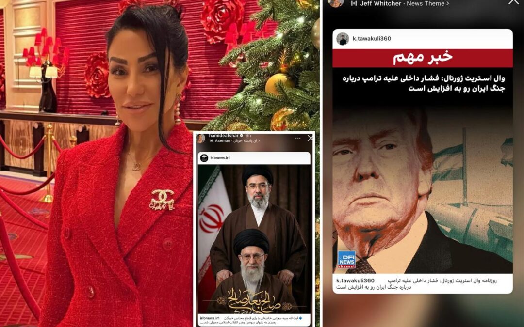 Niece of notorious Iranian Gen. Soleimani cheered Tehran’s threats, boosted regime propaganda in social posts before ICE arrest