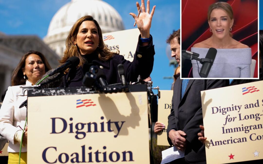 Megyn Kelly slams GOP reps  backing ‘amnesty’ for illegal immigrants: ‘Betrayal’