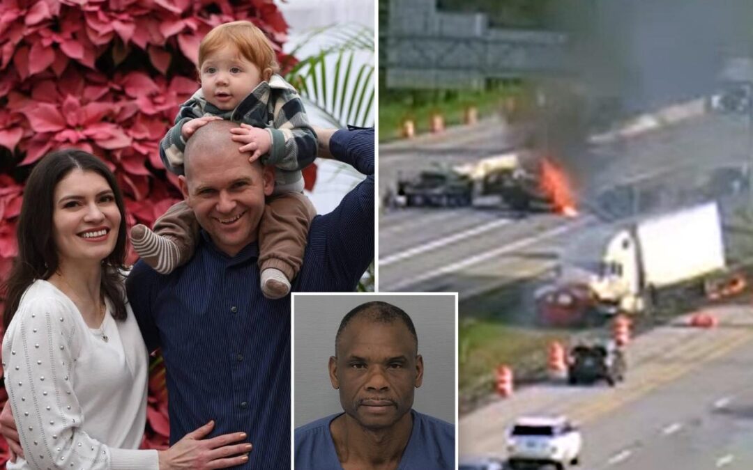 Ohio veterinarian Lynnea Soposki, her husband, and their son, 1, killed after semitruck driver crashes into family