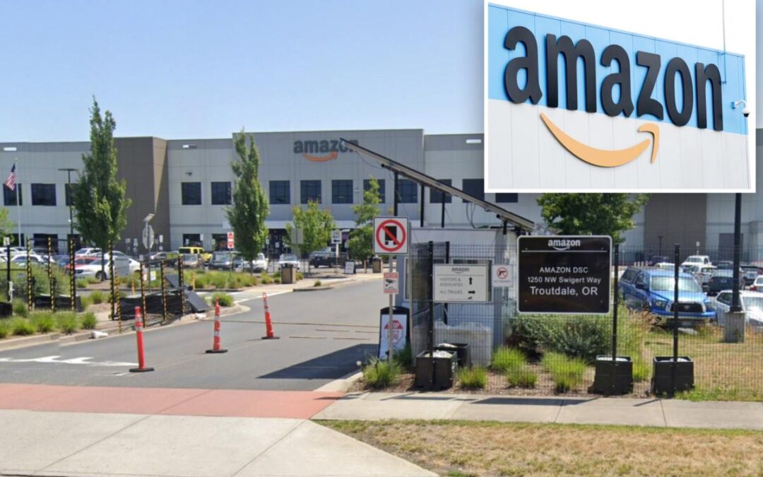 Amazon warehouse employee dies after collapsing on the job as colleagues kept working: report