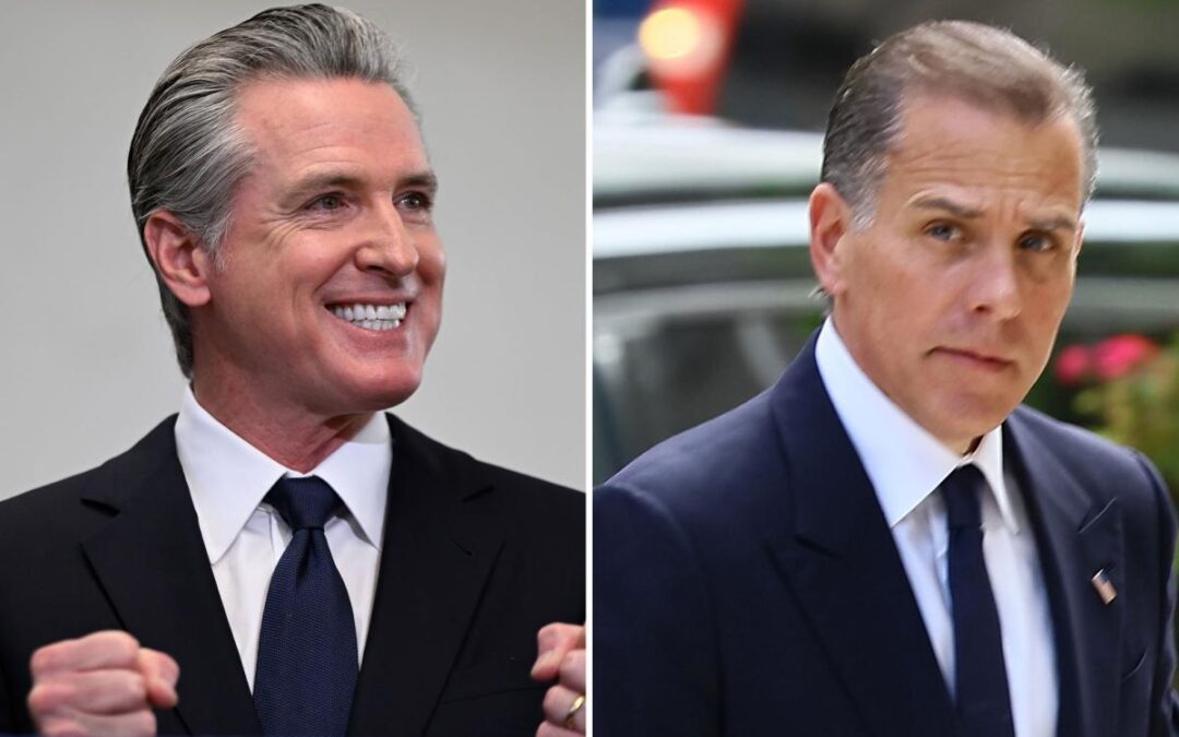 Hunter Biden trashes Democratic leadership, hails Gavin Newsom as party’s ‘greatest warrior’