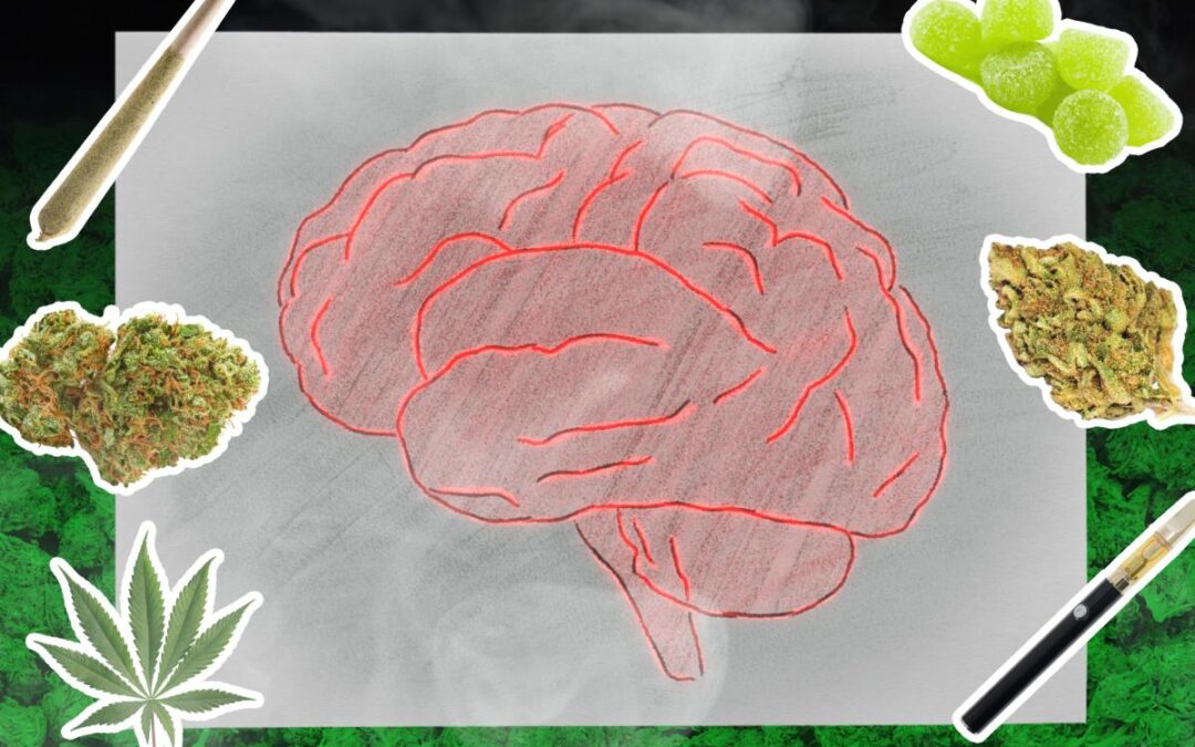What weed really does to your brain, according to hundreds of thousands of scans