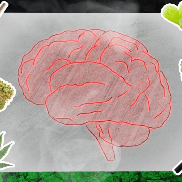 What weed really does to your brain, according to hundreds of thousands of scans