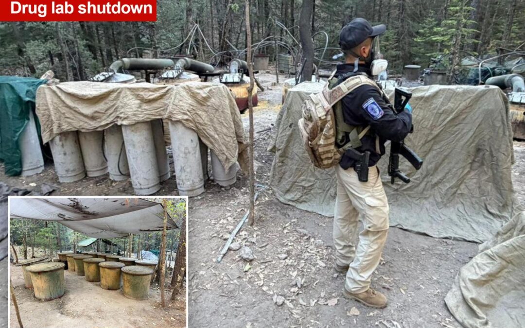 Two US Embassy officials among four killed in Mexico car crash after shutting down drug lab