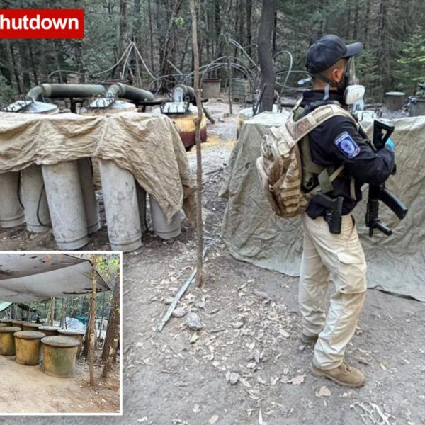 Two US Embassy officials among four killed in Mexico car crash after shutting down drug lab