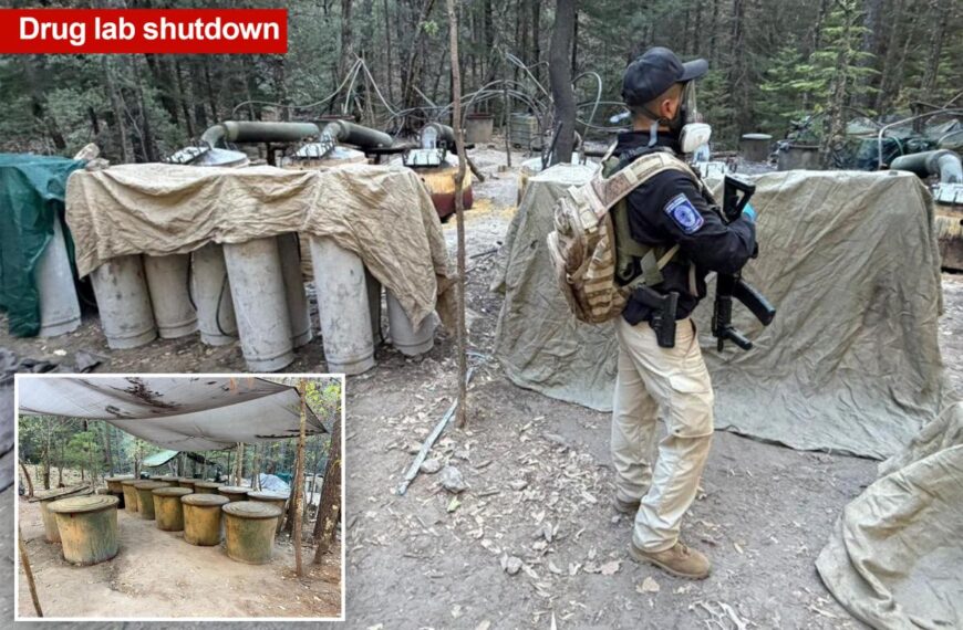 Two US Embassy officials among four killed in Mexico car crash after shutting down drug lab