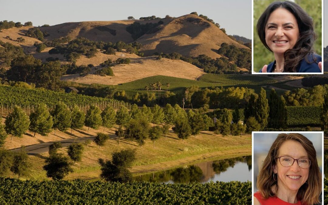 Napa Valley unveils $6.4M scheme to save decimated Wine Country — how everything will change explained