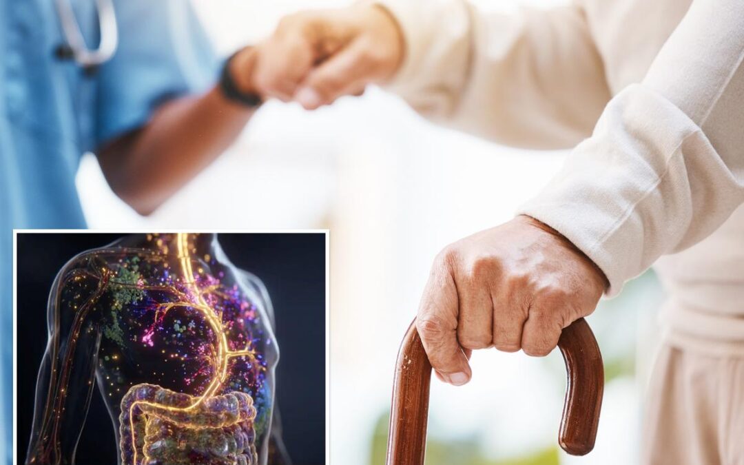 The hidden signs in your gut that may indicate Parkinson’s disease before symptoms emerge