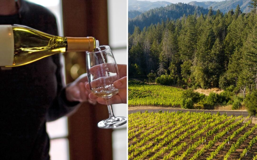 Huge shake up in Wine Country as crisis-mode Napa chiefs launch major shift to save industry