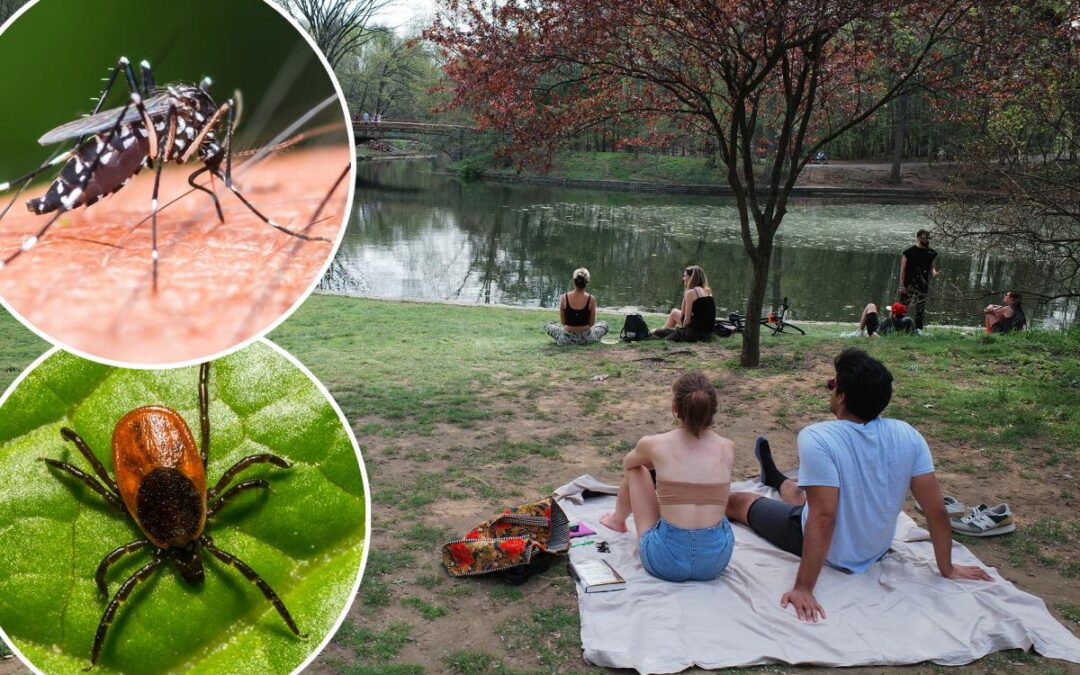 Tick, mosquito plagues could suck New York dry this summer — here’s how to keep yourself safe