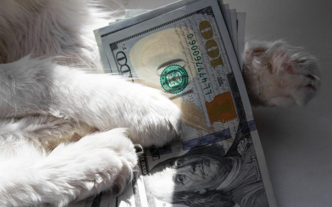 Average pet owner spending tops $4,000 a year—learn about the cost breakdown