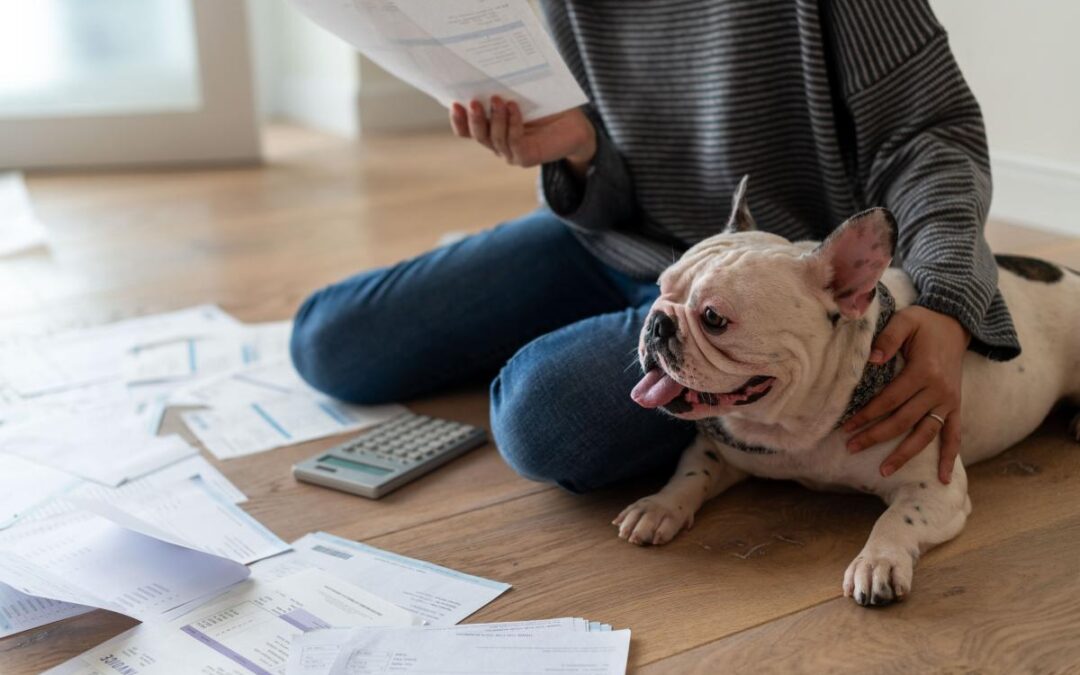 The ‘Family Member Standard’: Why petflation is pushing Americans into debt for their pets